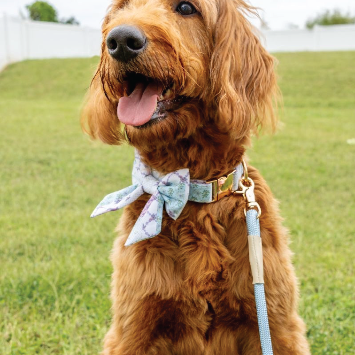 Simply Southern® Pet Leash: Turquoise
