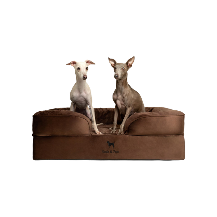 NOAH & PAW Velvet Dog Bed