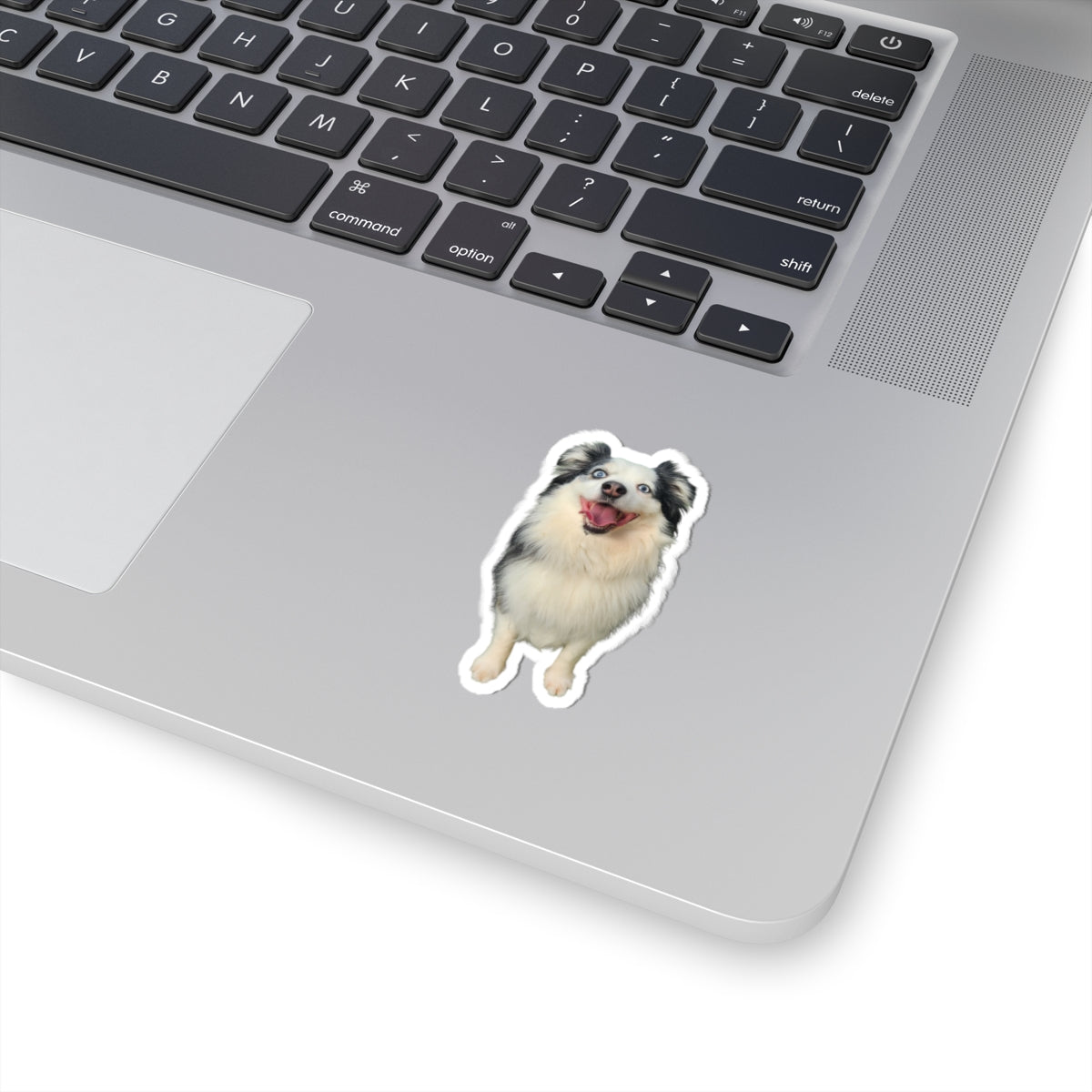 Custom Pet Portrait Sticker