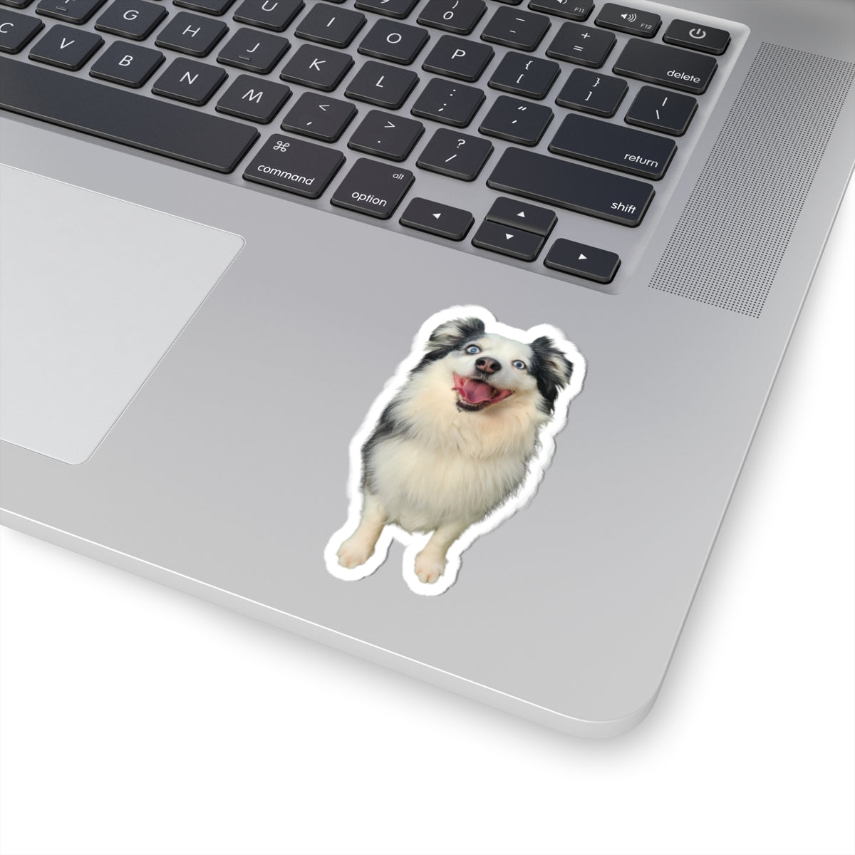 Custom Pet Portrait Sticker