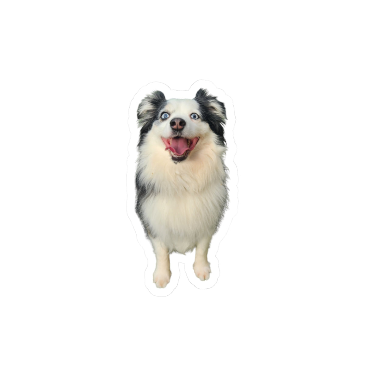 Custom Pet Portrait Sticker