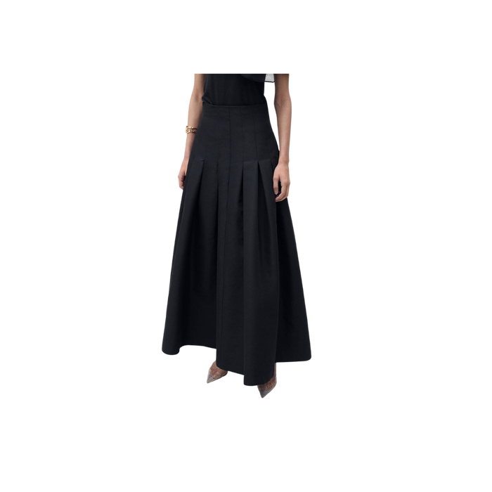 Pleated Flared Skirt