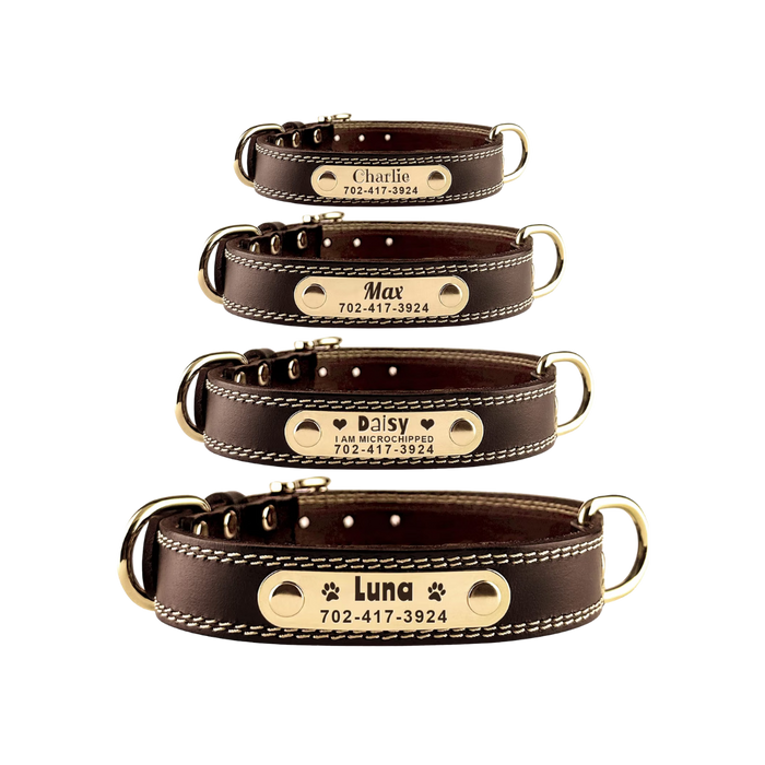 Custom Engraved Leather Dog Collar