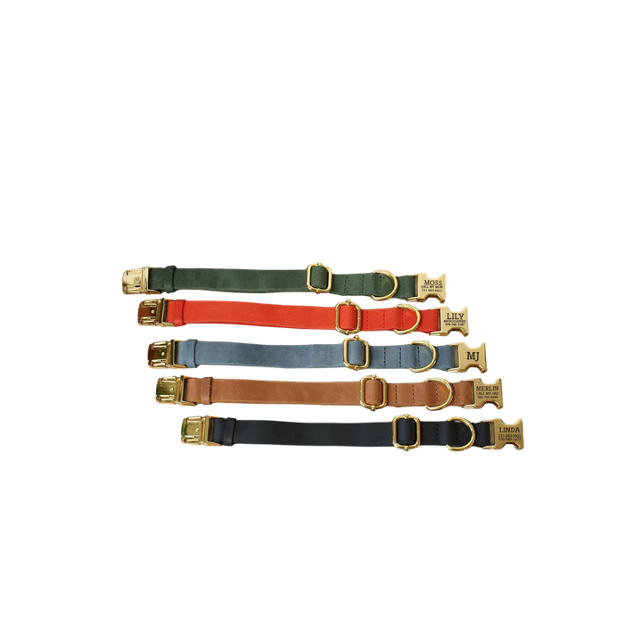 Leather Dog Collar Personalized with Laser Engraved Buckle