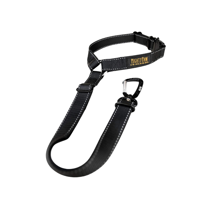 Dog Seatbelt for Car Headrest