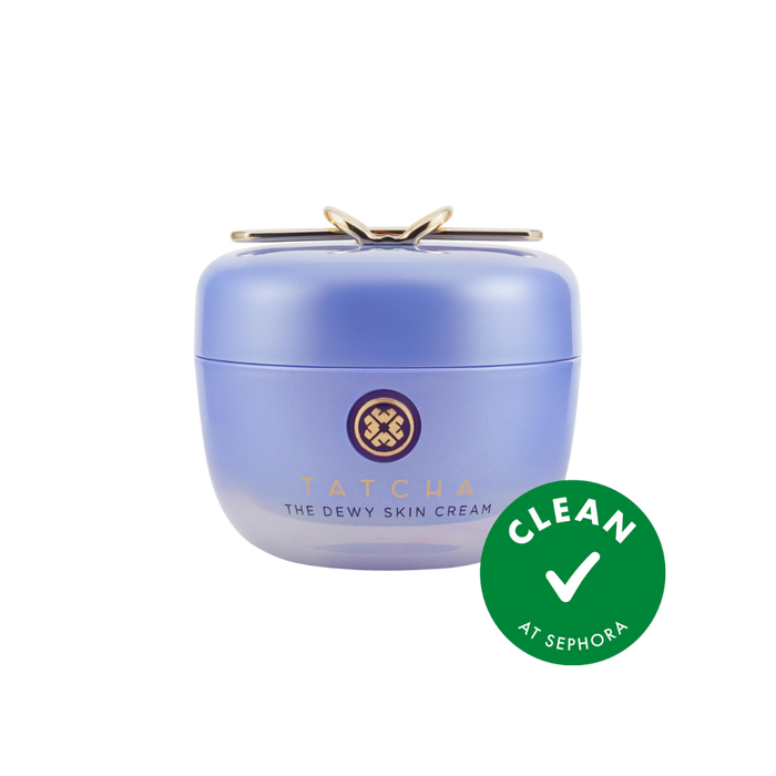 The Dewy Skin Cream Plumping & Hydrating Moisturizer