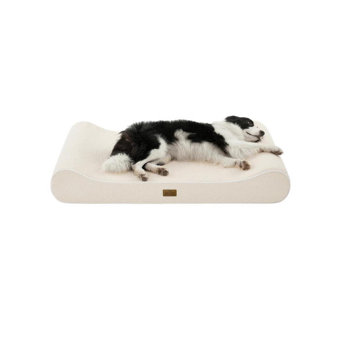 Orthopedic Dog Bed