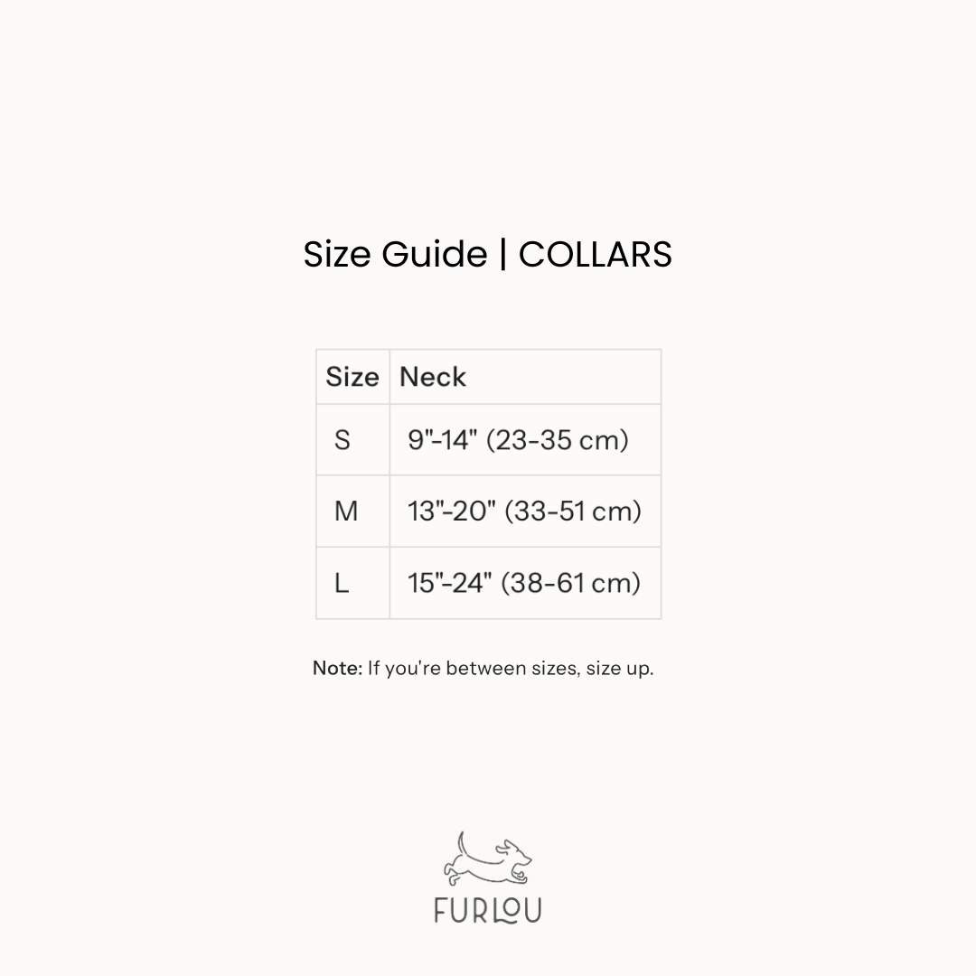'Black' - Canvas Dog Collar