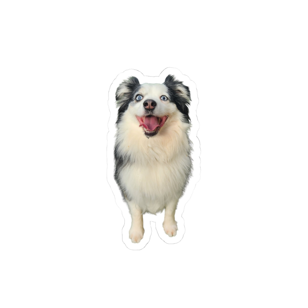 Custom Pet Portrait Sticker