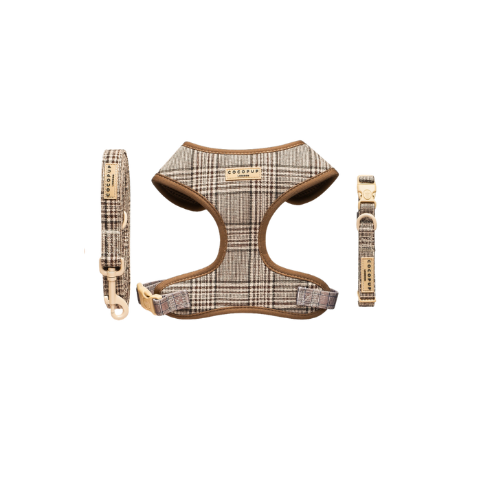 Pup Plaid Adjustable Neck Harness, Lead & Collar Bundle