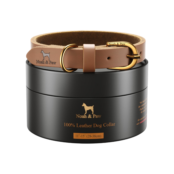 NOAH & PAW Leather Dog Collar