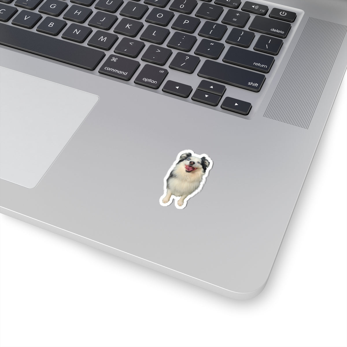 Custom Pet Portrait Sticker