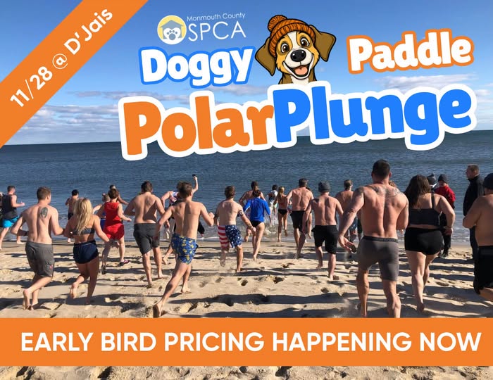 Doggy Paddle Polar Plunge