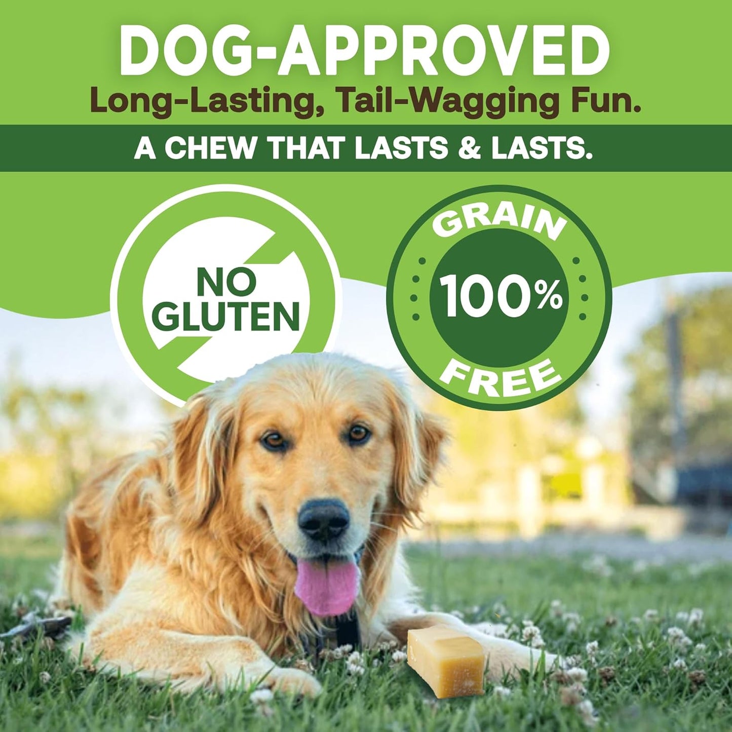 Gold Yak Chews for Medium Dogs (3 Medium Sized Chews)