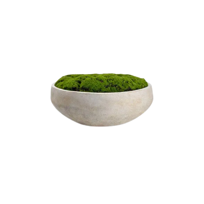 Hand Painted Cement Moss Bowl Centerpiece