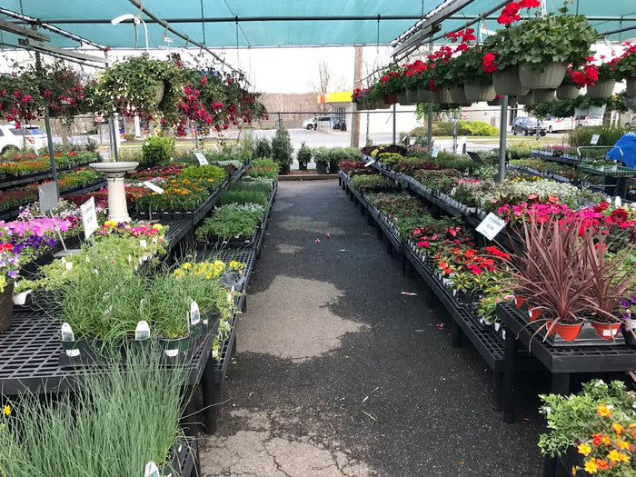 Agway (Morristown)
