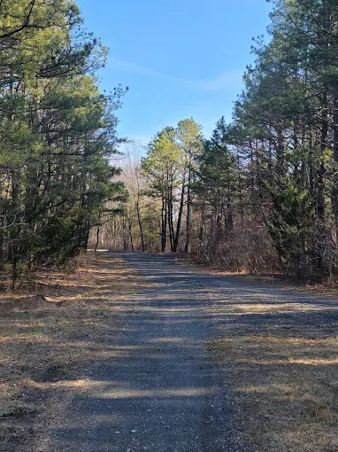 Airport Trail