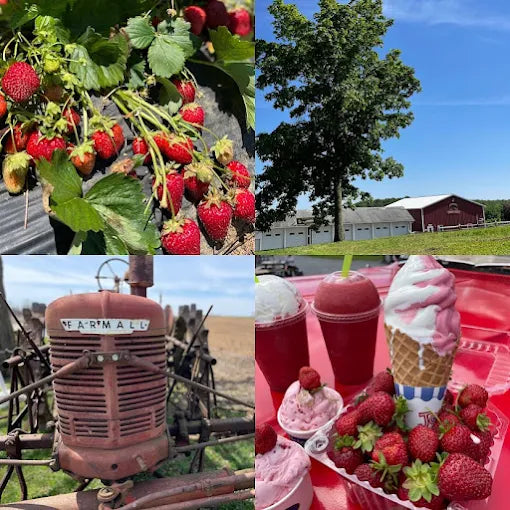 Alstede Farms