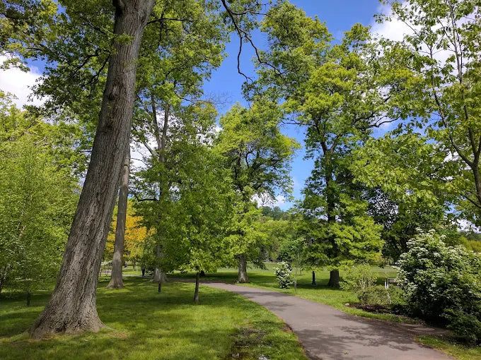 Anderson Park