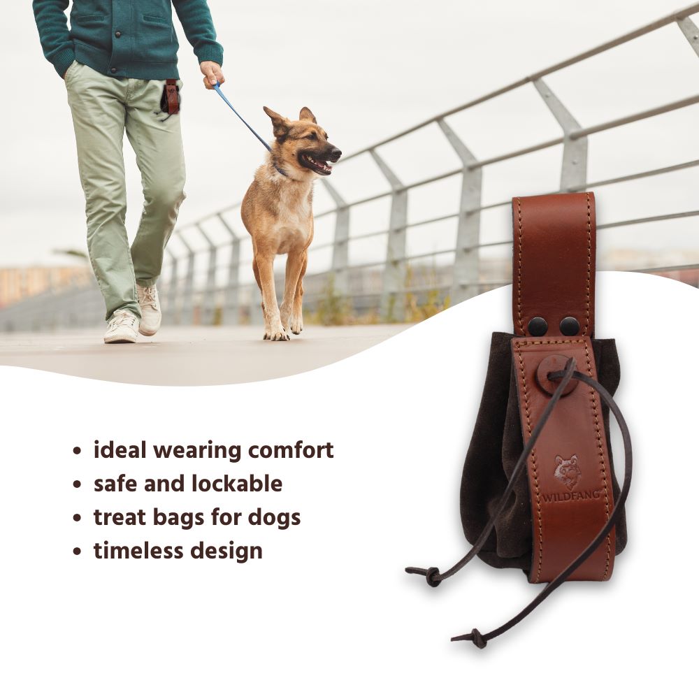 Dog Treat Pouch