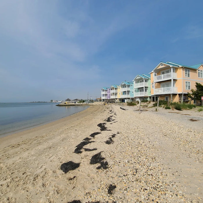 Beach Haven Doggy Bay