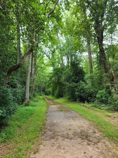 Berlin Park