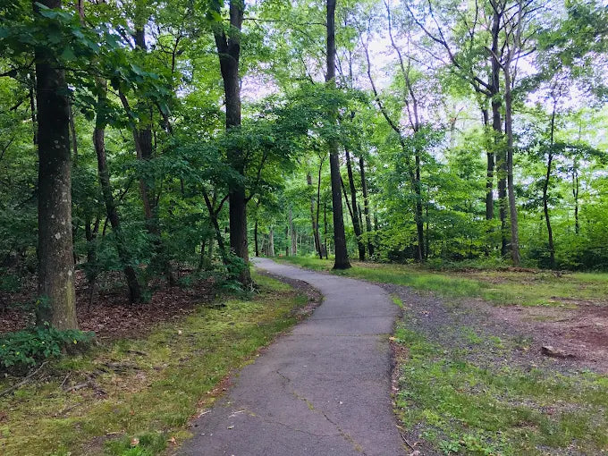 Bicentennial Park