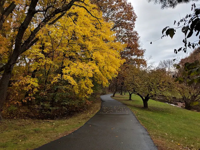 Booth Park