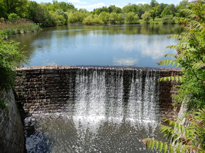 Briant Park