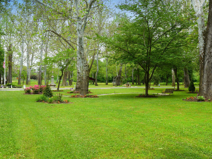 Bridgeton City Park