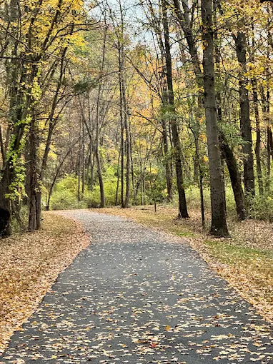 Burnt Mills Park & Dog Park