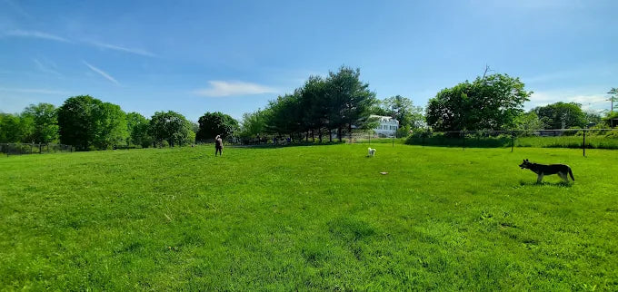Cameron Dog Park