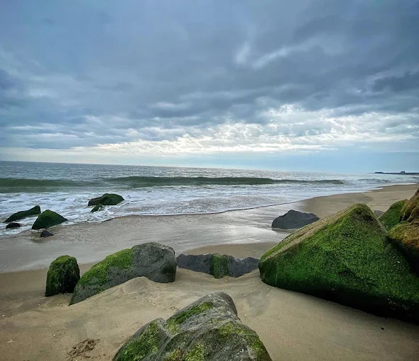 Cape Henlopen State Park