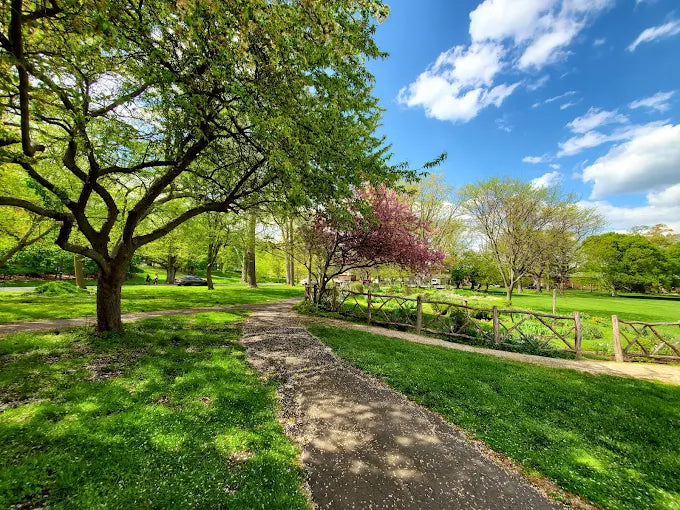 Cedar Brook Park