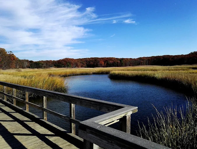 Cheesequake State Park