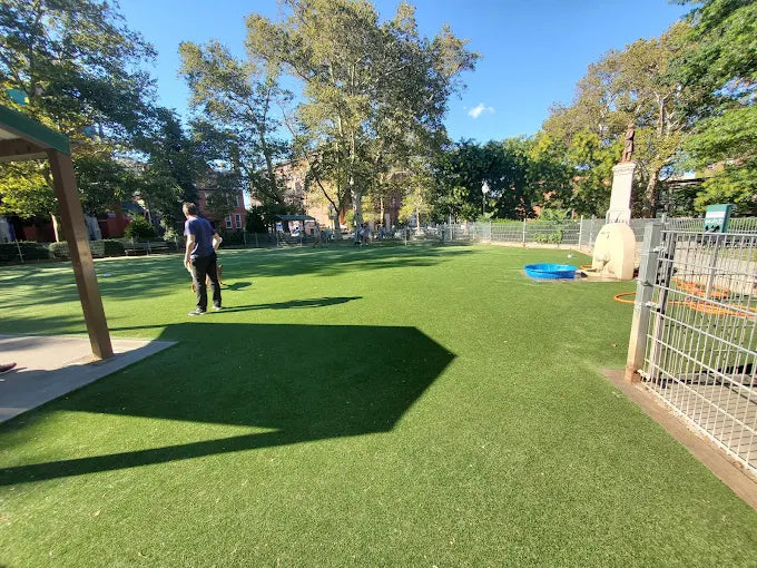 Church Dog Park