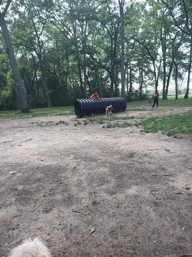 City of Vineland Dog Park