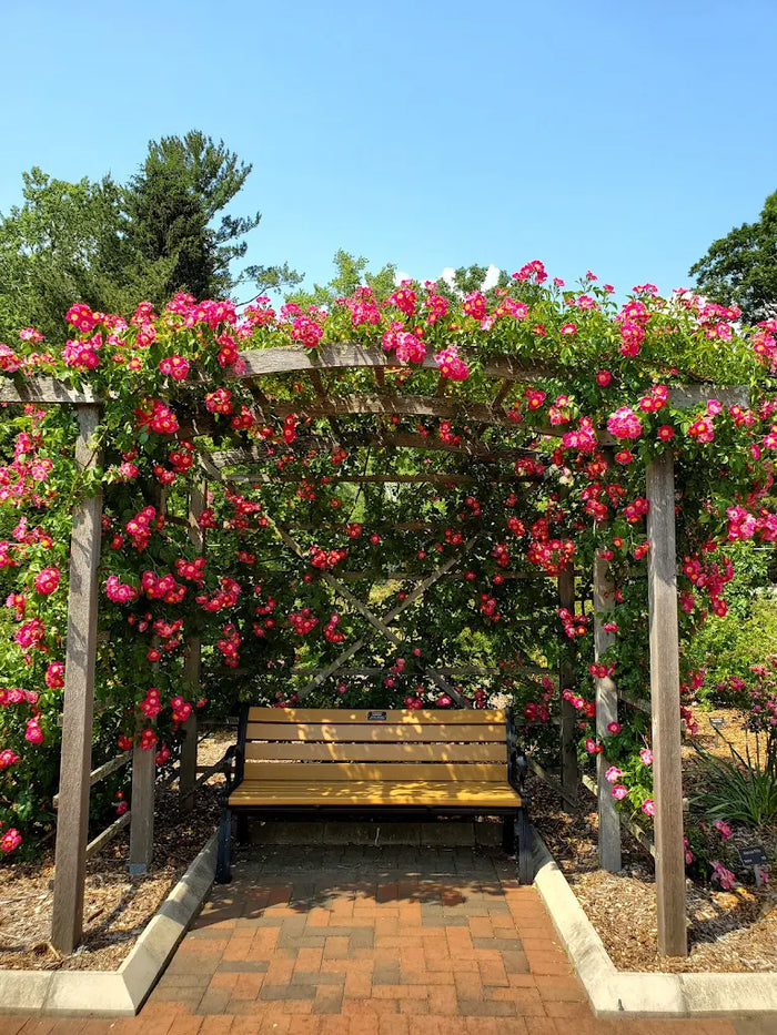 Colonial Park Gardens