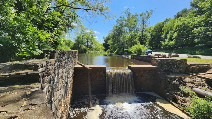 Davidson's Mill Pond Park