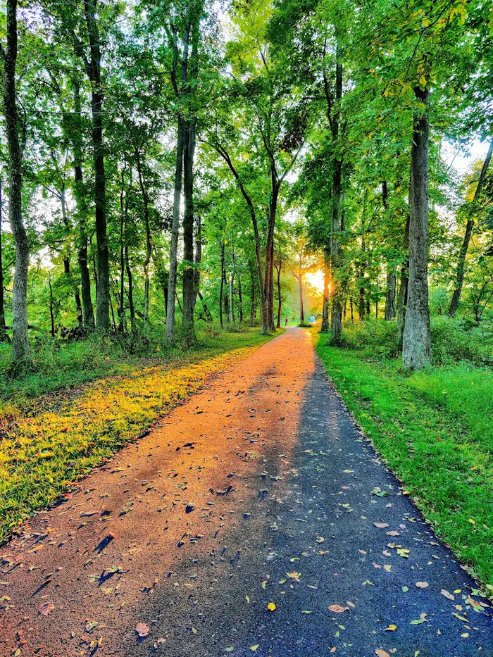 Duke Island Park