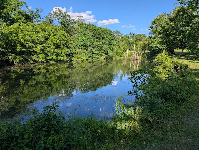 East County Park & Dog Park