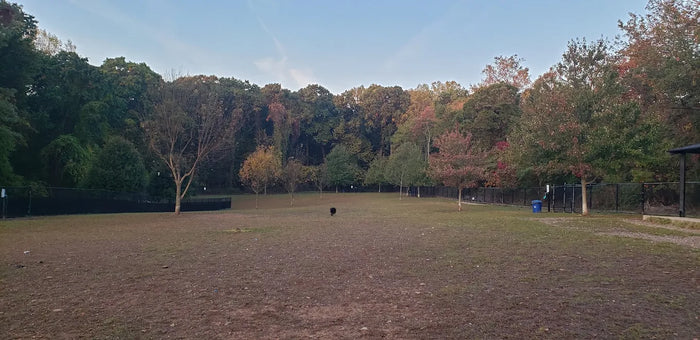 Echo Lake Park