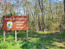 Edwin B. Forsythe National Wildlife Refuge