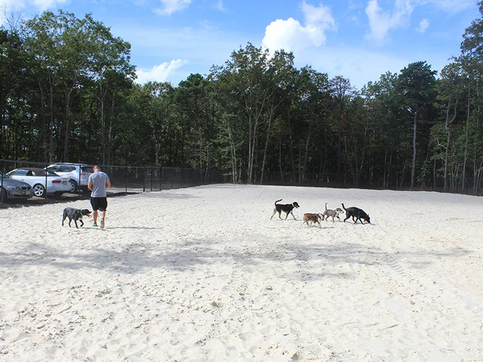Egg Harbor Township Dog Park