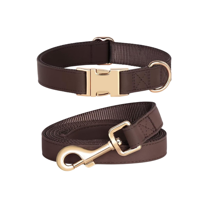 Leather Dog Collar and Leash Set