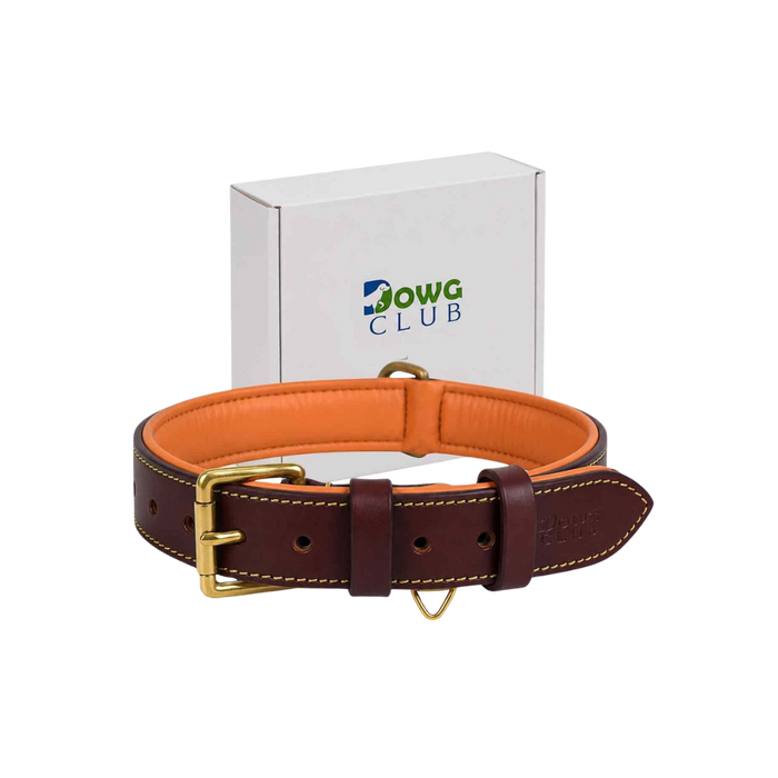 Genuine Leather Dog Collar - Brown