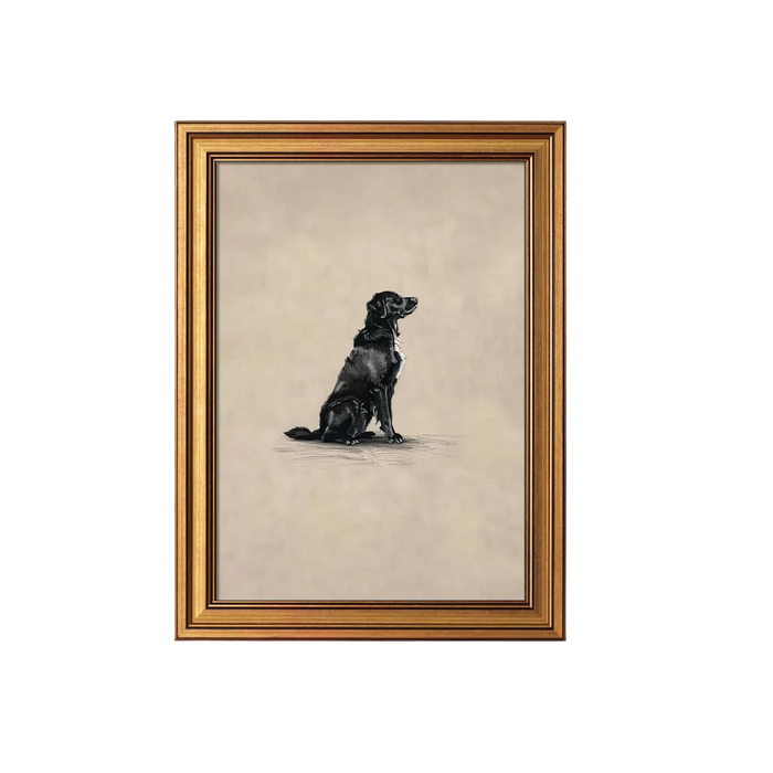 Gold Framed Canvas Wall Art - Black Lab