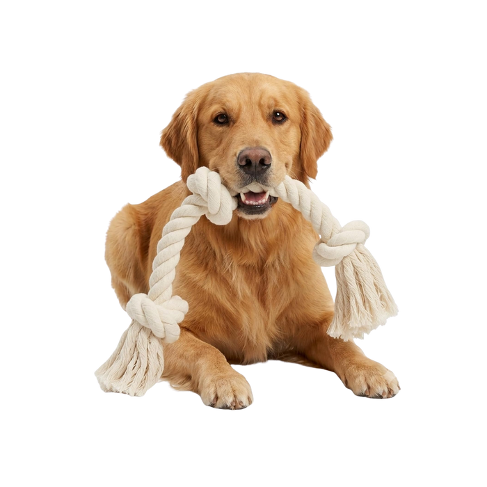 Natural White Cotton Rope Toy