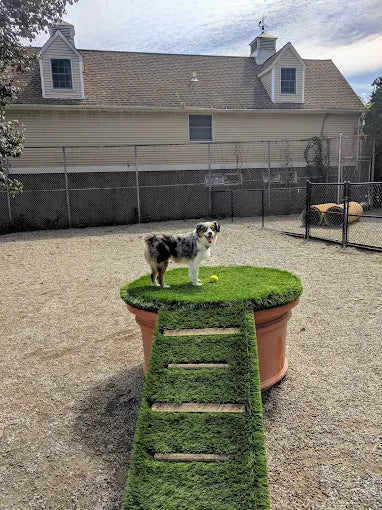 Fort Lee Dog Park