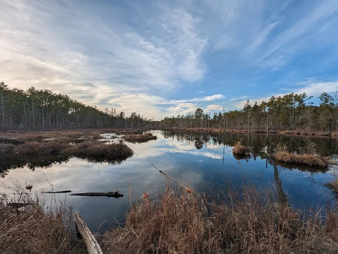 Franklin Parker Preserve